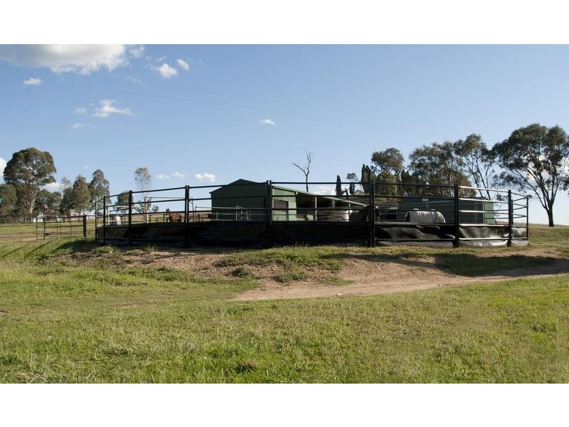 772 Muscle Creek Road, Muscle Creek NSW 2333