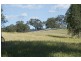 772 Muscle Creek Road, Muscle Creek NSW 2333