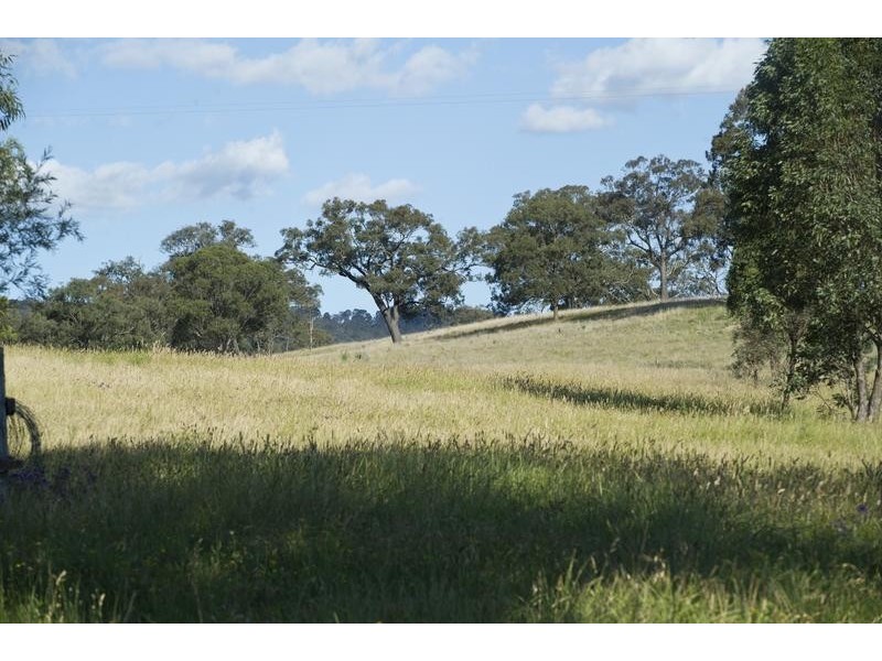 772 Muscle Creek Road, Muscle Creek NSW 2333