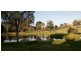 772 Muscle Creek Road, Muscle Creek NSW 2333