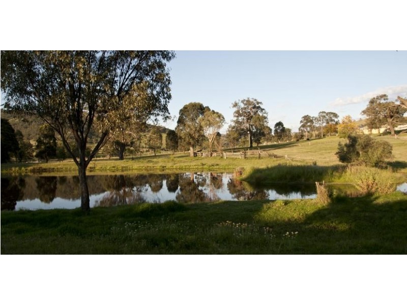 772 Muscle Creek Road, Muscle Creek NSW 2333