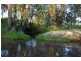 772 Muscle Creek Road, Muscle Creek NSW 2333