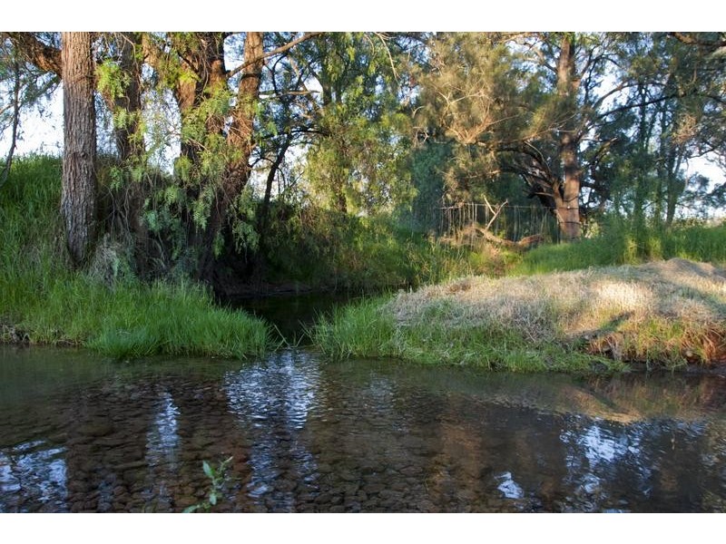 772 Muscle Creek Road, Muscle Creek NSW 2333