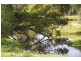 772 Muscle Creek Road, Muscle Creek NSW 2333