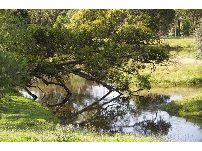 772 Muscle Creek Road, Muscle Creek NSW 2333