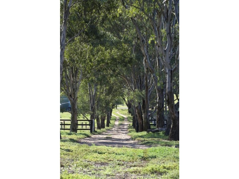 772 Muscle Creek Road, Muscle Creek NSW 2333