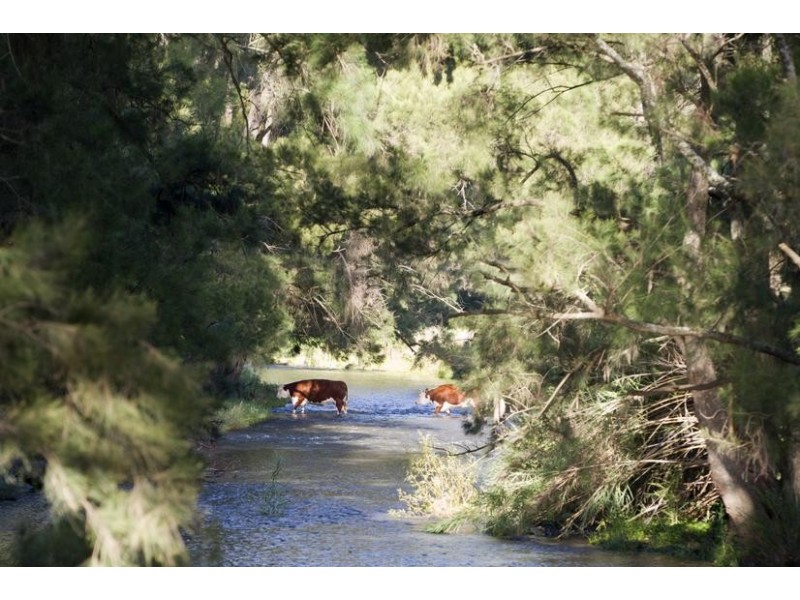 . Stewarts Brook Road, Scone NSW 2337