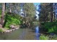 . Stewarts Brook Road, Scone NSW 2337
