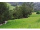 2878 Barry Road, Nundle NSW 2340