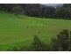 2878 Barry Road, Nundle NSW 2340