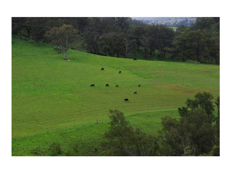 2878 Barry Road, Nundle NSW 2340