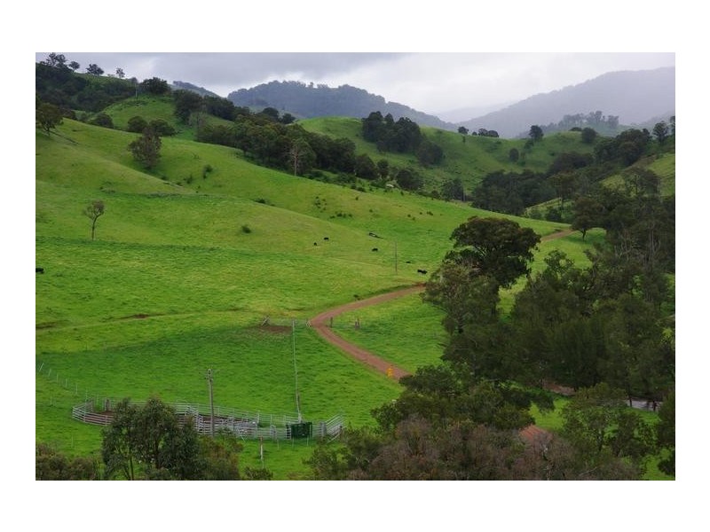 2878 Barry Road, Nundle NSW 2340