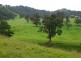 2878 Barry Road, Nundle NSW 2340