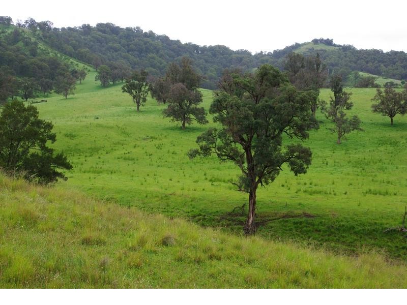 2878 Barry Road, Nundle NSW 2340