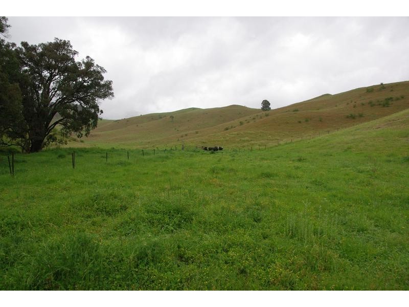 2878 Barry Road, Nundle NSW 2340