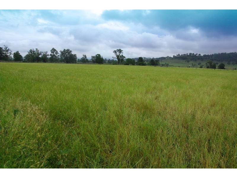 . New England Highway, Scone NSW 2337