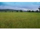 . New England Highway, Scone NSW 2337