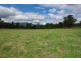 505 Pages River Road, Murrurundi NSW 2338