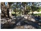 505 Pages River Road, Murrurundi NSW 2338