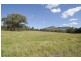 505 Pages River Road, Murrurundi NSW 2338
