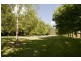 505 Pages River Road, Murrurundi NSW 2338