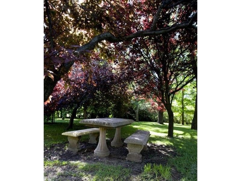 505 Pages River Road, Murrurundi NSW 2338