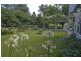 505 Pages River Road, Murrurundi NSW 2338
