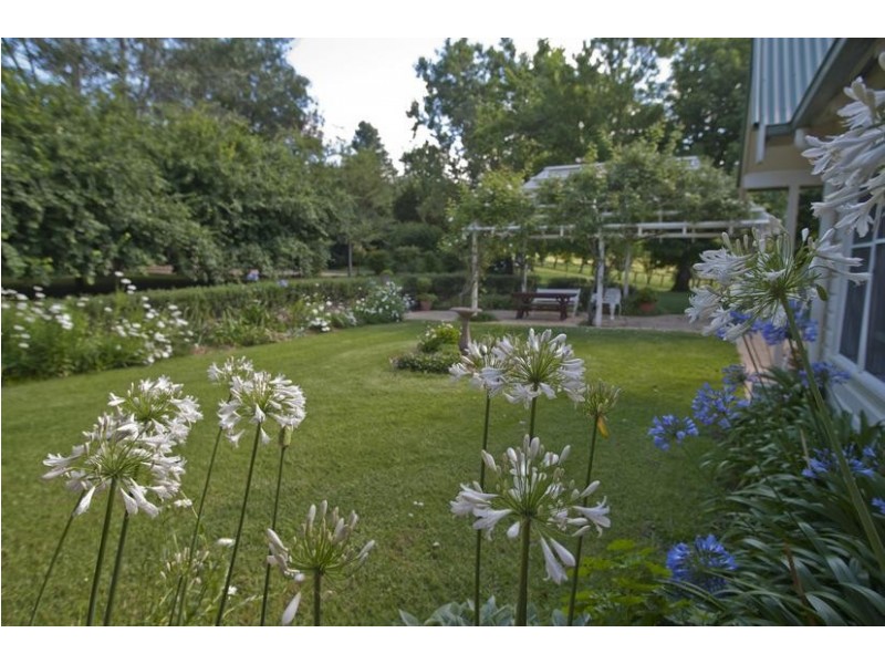 505 Pages River Road, Murrurundi NSW 2338