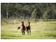 317 Rosemount Road, Denman NSW 2328