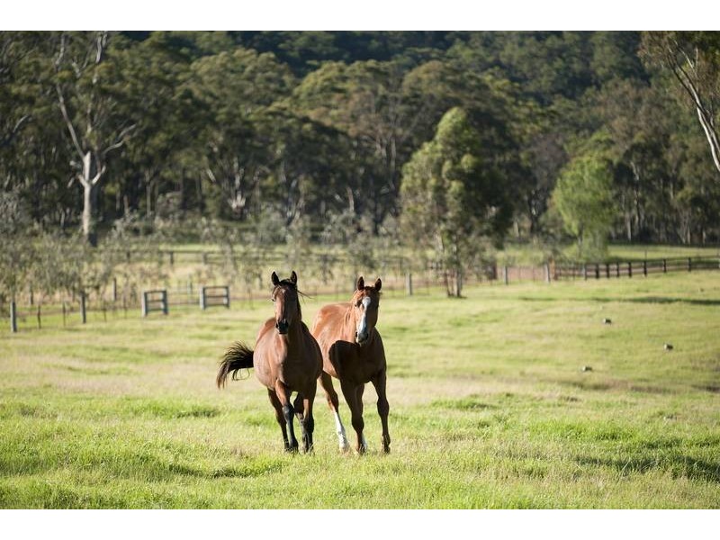 317 Rosemount Road, Denman NSW 2328