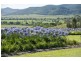 317 Rosemount Road, Denman NSW 2328