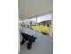 317 Rosemount Road, Denman NSW 2328