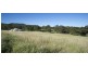 317 Rosemount Road, Denman NSW 2328