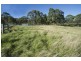 317 Rosemount Road, Denman NSW 2328