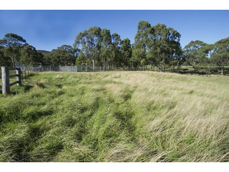 317 Rosemount Road, Denman NSW 2328
