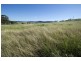 317 Rosemount Road, Denman NSW 2328