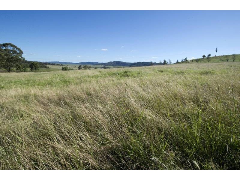 317 Rosemount Road, Denman NSW 2328