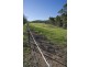 317 Rosemount Road, Denman NSW 2328