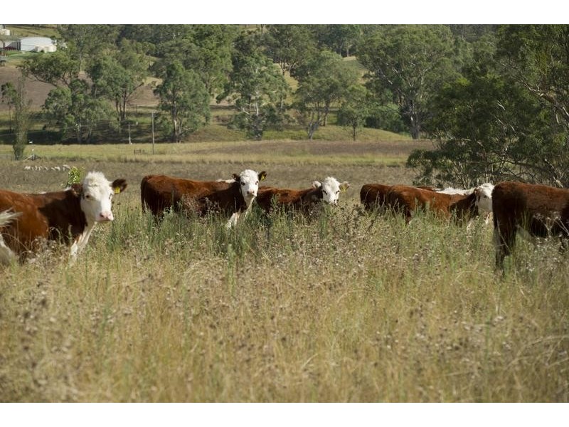 . Timor Road, Blandford NSW 2338