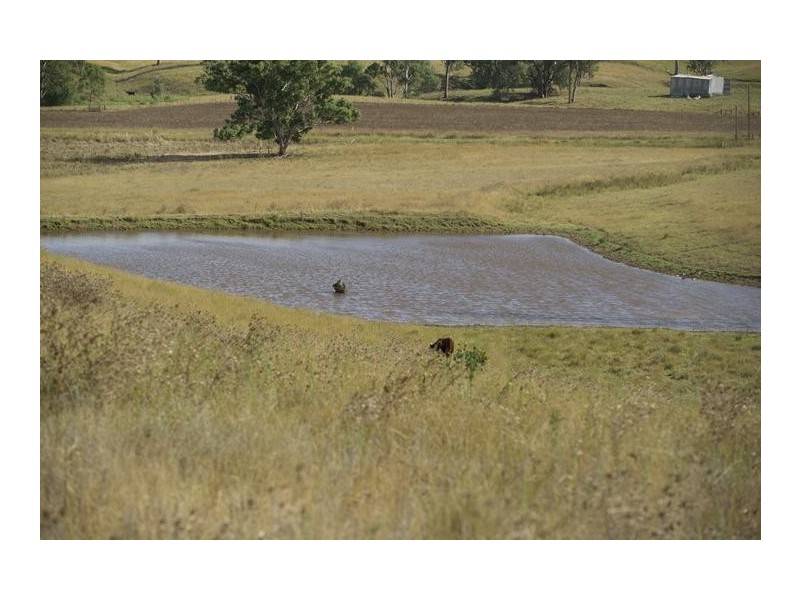 . Timor Road, Blandford NSW 2338