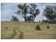. Timor Road, Blandford NSW 2338