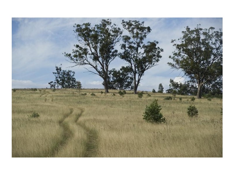 . Timor Road, Blandford NSW 2338