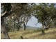 . Timor Road, Blandford NSW 2338