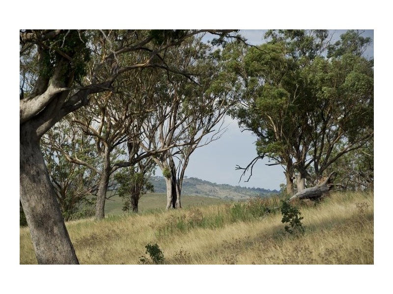 . Timor Road, Blandford NSW 2338