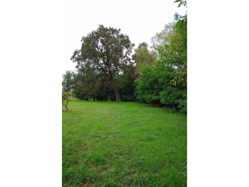 . New England Highway, Blandford NSW 2338