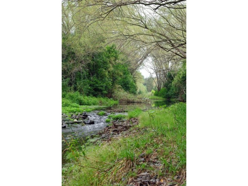 . New England Highway, Blandford NSW 2338