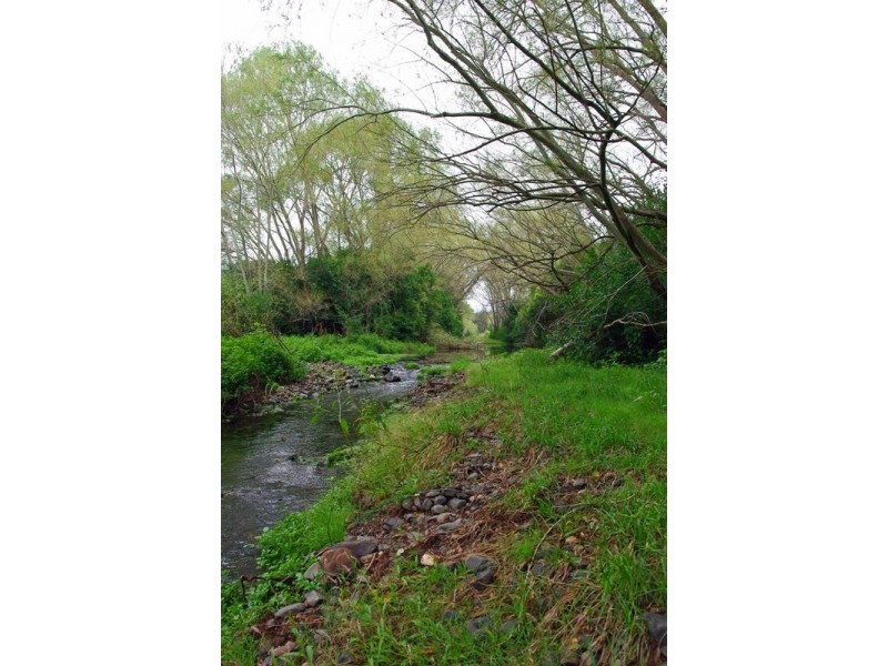 . New England Highway, Blandford NSW 2338