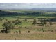 Lot 10 Glenbawn Road, Scone NSW 2337