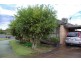 1 Renshaw Close, Scone NSW 2337