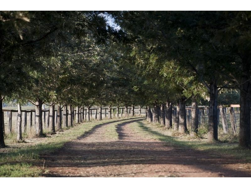 224 Yarrandi Road, Scone NSW 2337